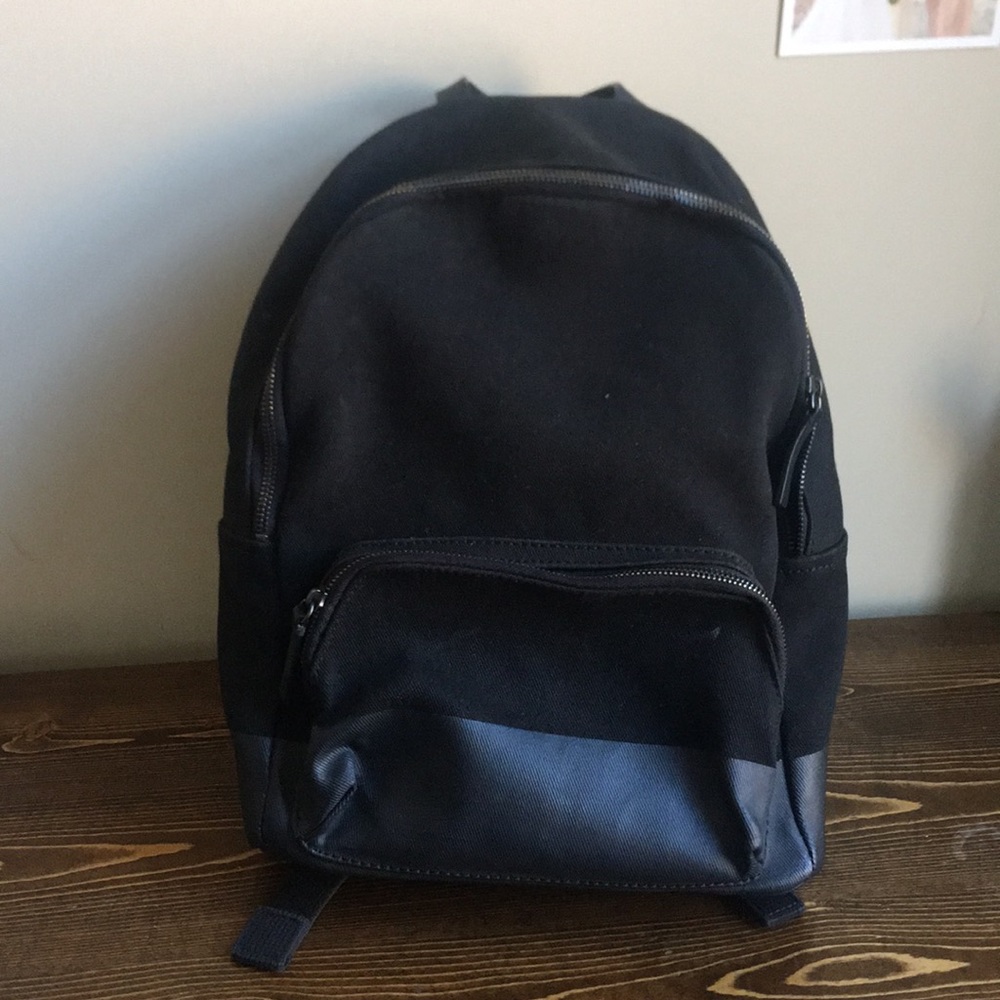 Everlane mini canvas backpack